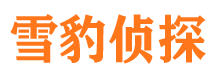 衡水侦探公司